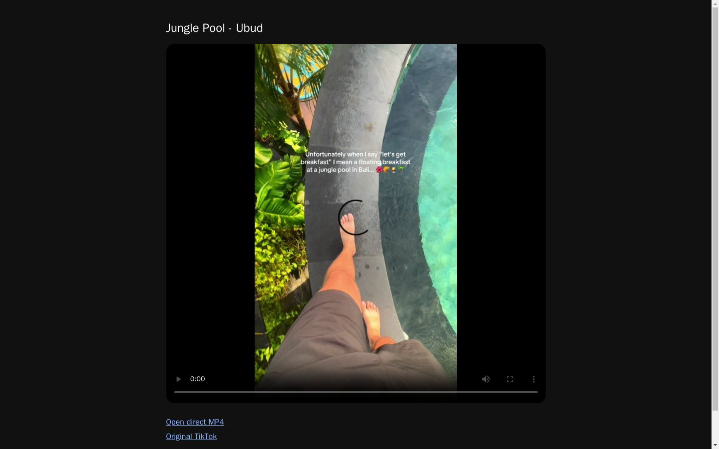 Jungle Pool - Ubud
