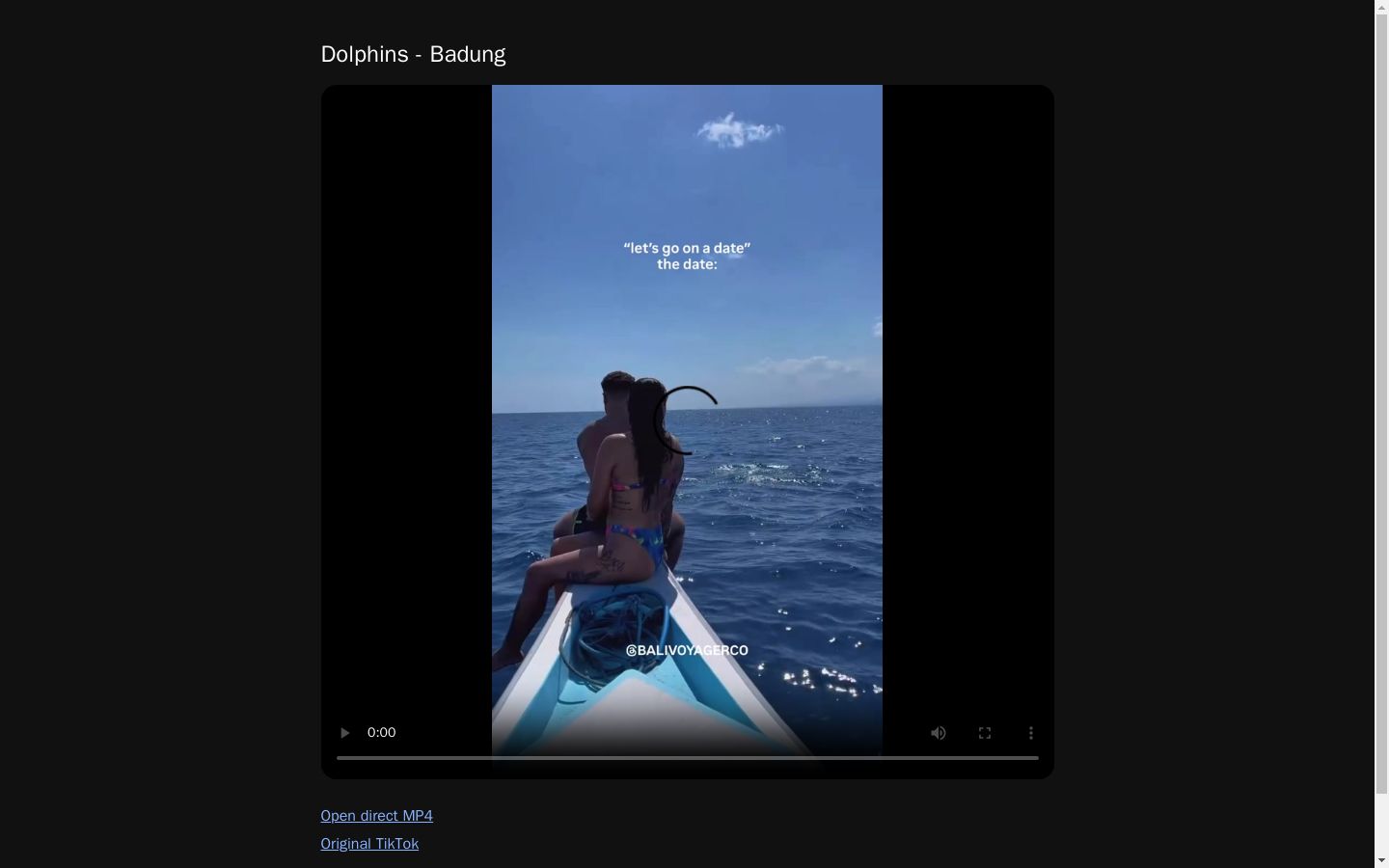 Dolphins - Badung