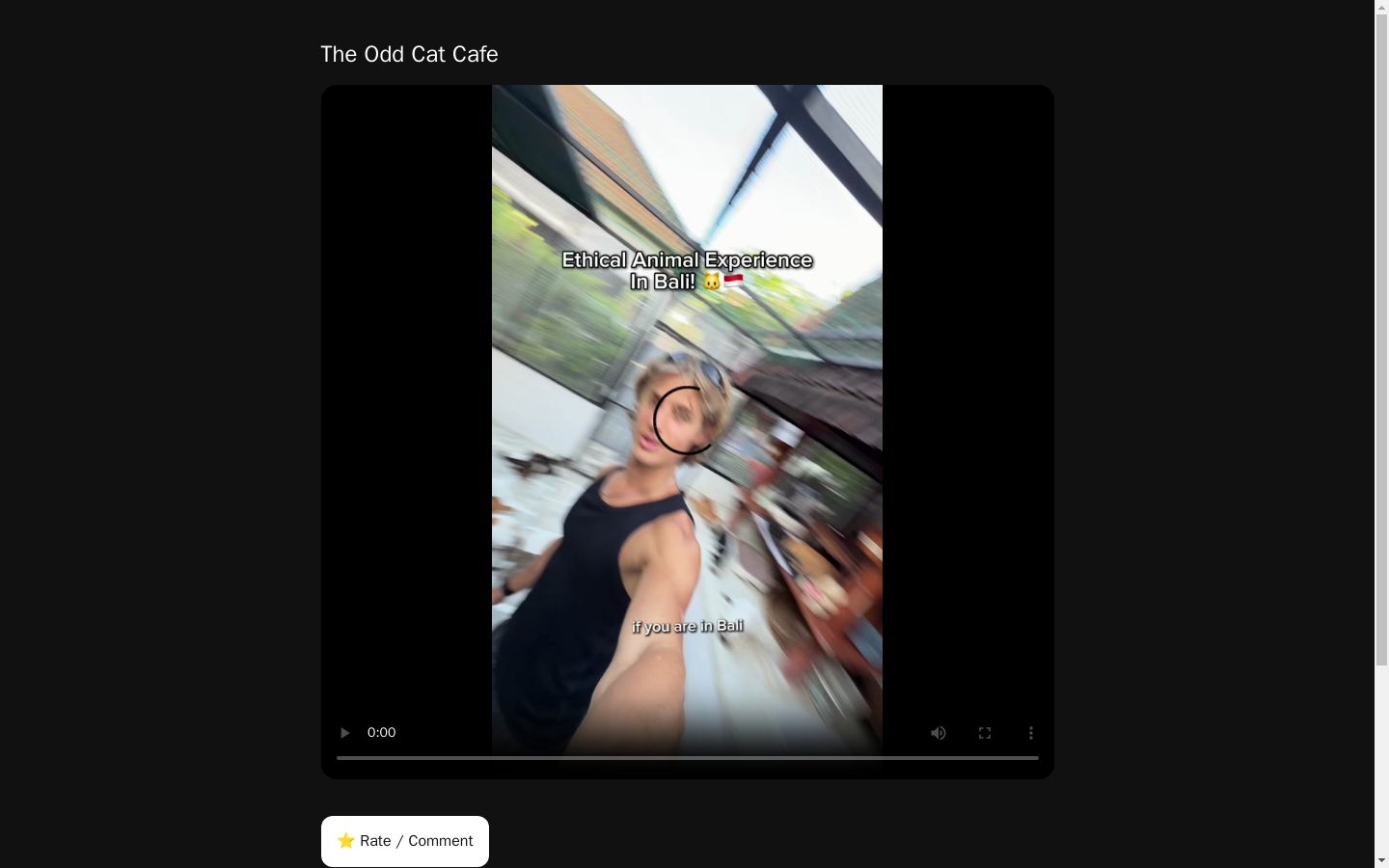 The Odd Cat Cafe
